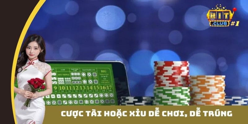 Cược tài hoặc xỉu dễ chơi, dễ trúng