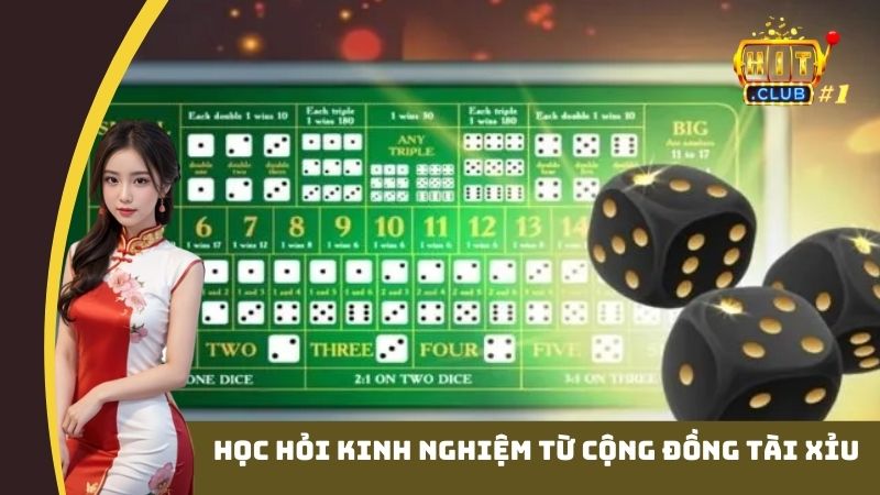 Học hỏi kinh nghiệm từ cộng đồng tài xỉu