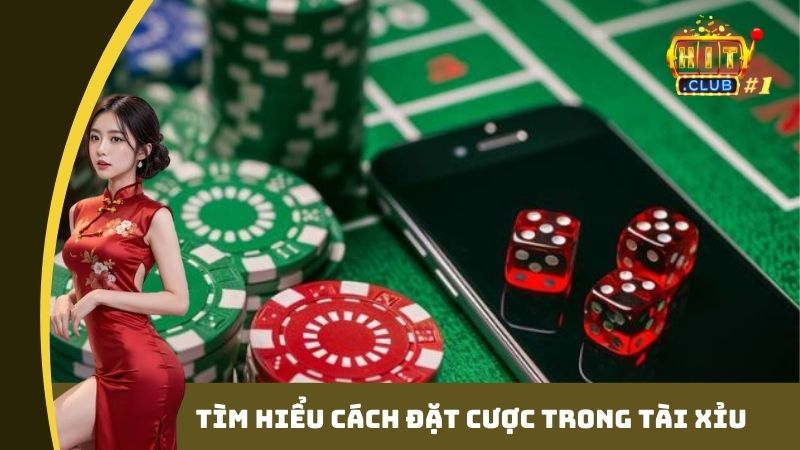 Tìm hiểu cách đặt cược trong tài xỉu